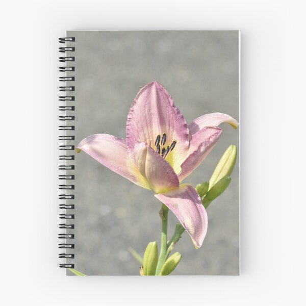 Item preview, Soft Purple Lily Photography | Dreamy Botanical Flower Print designed and sold by TathataPhotos.