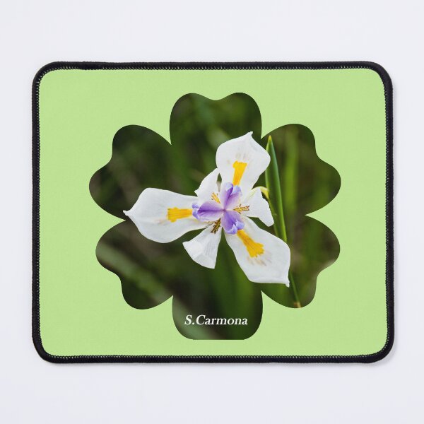 Item preview, White Dietes Grandiflora Wild Iris Botanical Flower Art designed and sold by AuraInkSC.