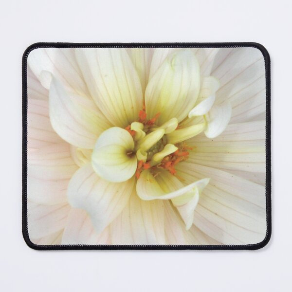 Item preview, Peaceful White Flower Photo designed and sold by Here's To Endless Possibilities.