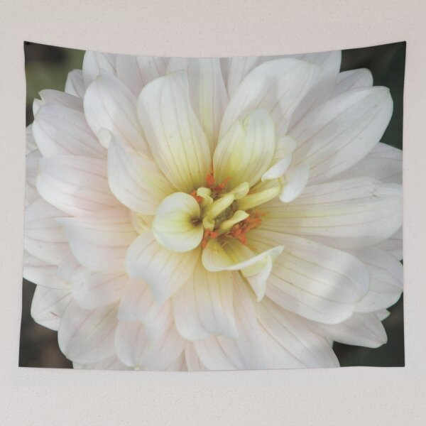 Item preview, Peaceful White Flower Photo designed and sold by Here's To Endless Possibilities.