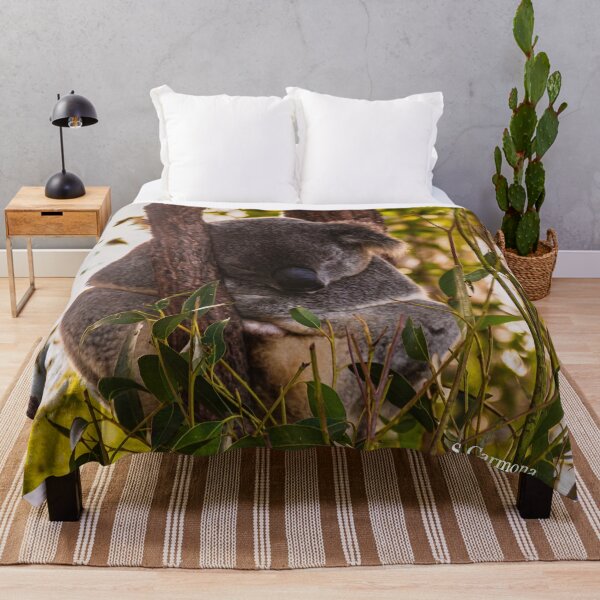 Item preview, Sleeping Koala in Eucalyptus Tree - Cute Australian Wildlife Photography designed and sold by AuraInkSC.