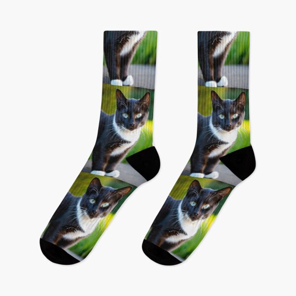 Artikelvorschau, Animals - Tuxedo Cat with Blue-Green Eyes, Cinematic Animal Portrait entworfen und verkauft von World-Pets.