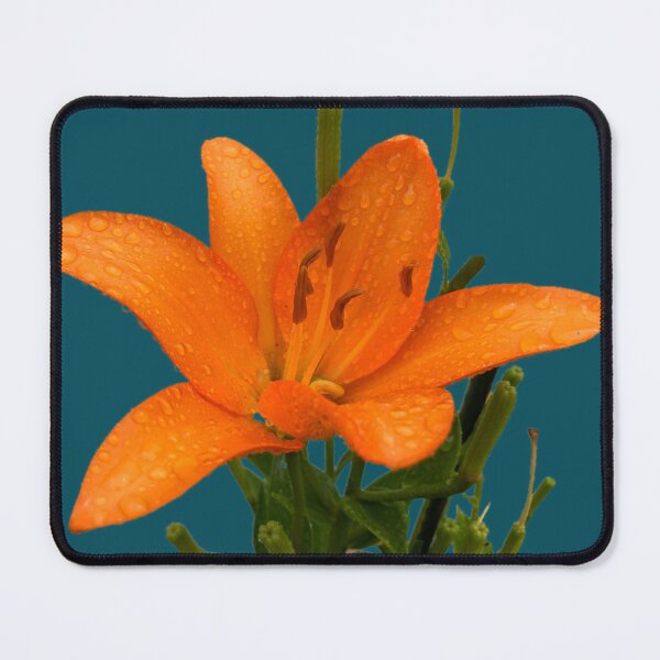 Item preview, Raindrops on a Lily designed and sold by Amanda1775.