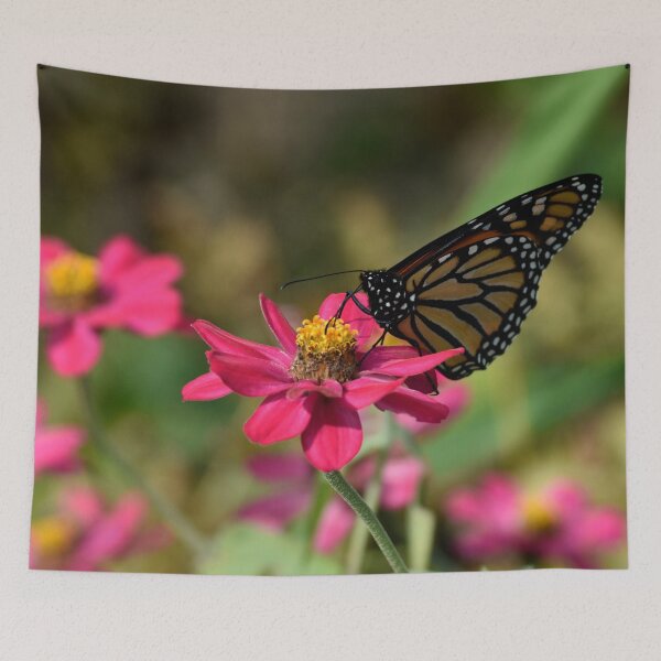 Item preview, Monarch Butterfly on Pink Zinnia Macro Nature Art designed and sold by TathataPhotos.
