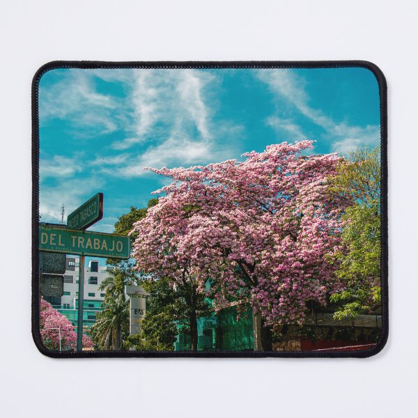 Item preview, Macuilis in spring designed and sold by Raw-sp.