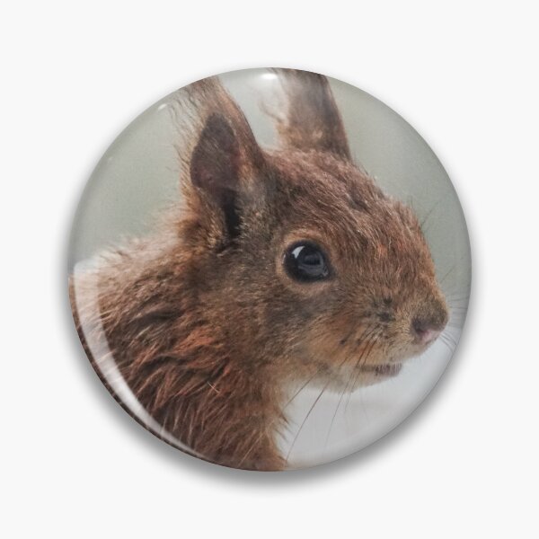 Item preview, Squirrel Portrait | Close-Up Wildlife Photography designed and sold by pigeonlovrs.