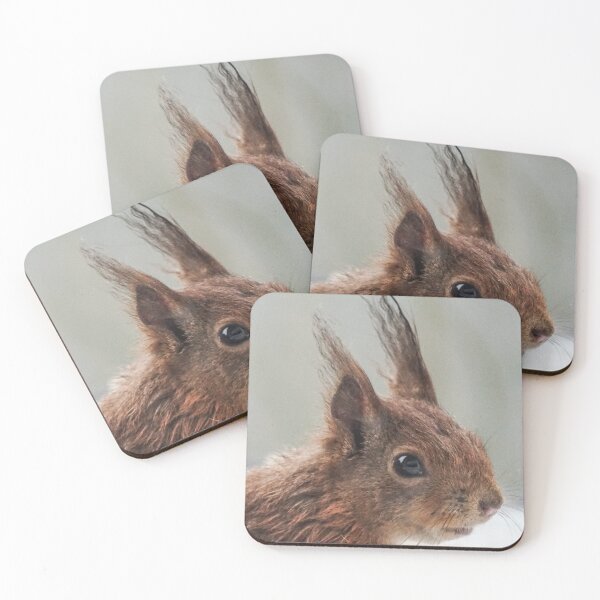 Item preview, Squirrel Portrait | Close-Up Wildlife Photography designed and sold by pigeonlovrs.