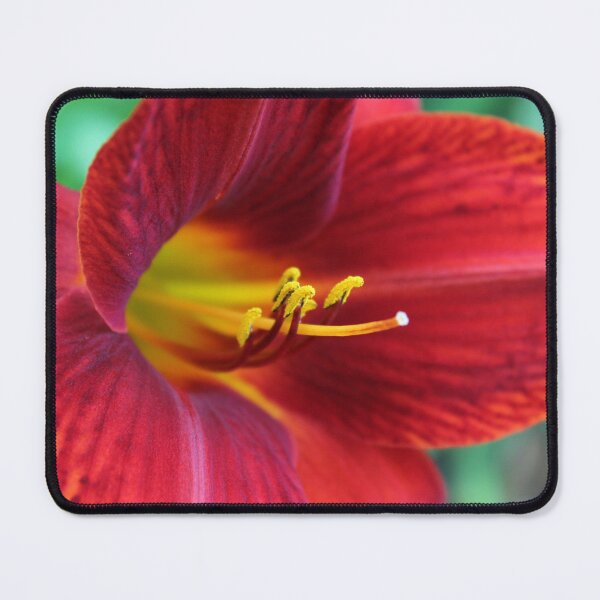 Item preview, Crimson Red Daylily Flower Macro designed and sold by 27Tammy27.