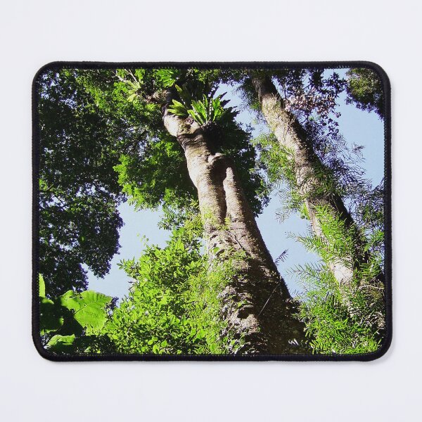 Item preview, Rainforest Giants designed and sold by sunrisecoast.