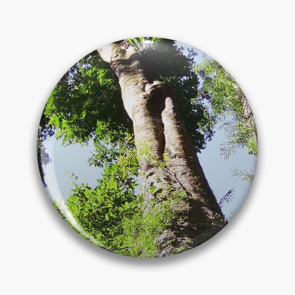 Item preview, Rainforest Giants designed and sold by sunrisecoast.