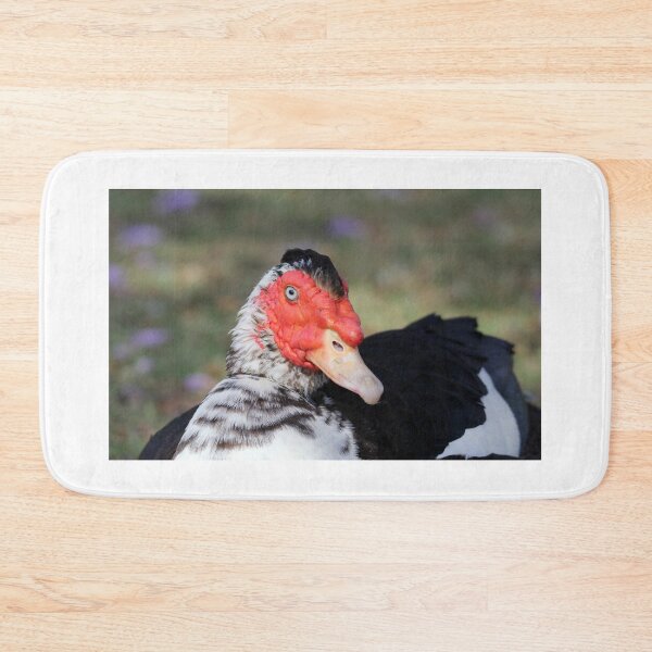 Item preview, Muscovy Duck Close Up Wildlife Portrait designed and sold by 27Tammy27.