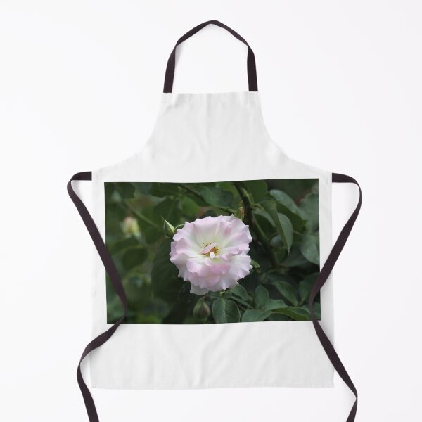 Item preview, Soft Pink and White Rose Bush Bloom designed and sold by 27Tammy27.