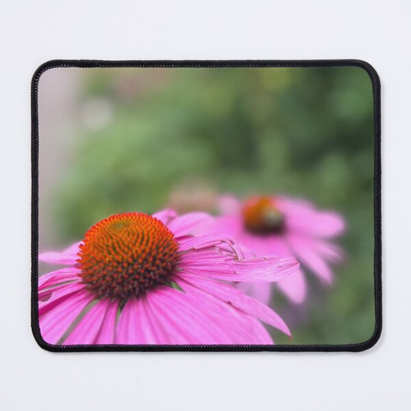 Artikelvorschau, Nahaufnahme einer rosa Blume entworfen und verkauft von xxmultifxndomx.