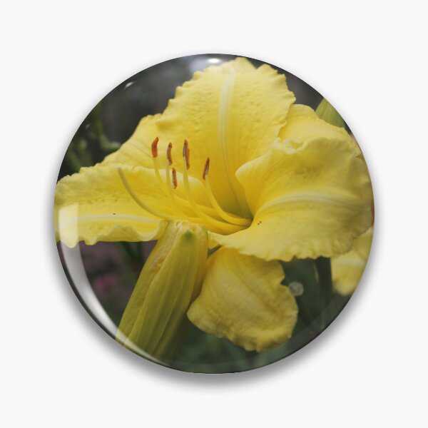 Item preview, Yellow Flower  designed and sold by xxmultifxndomx.