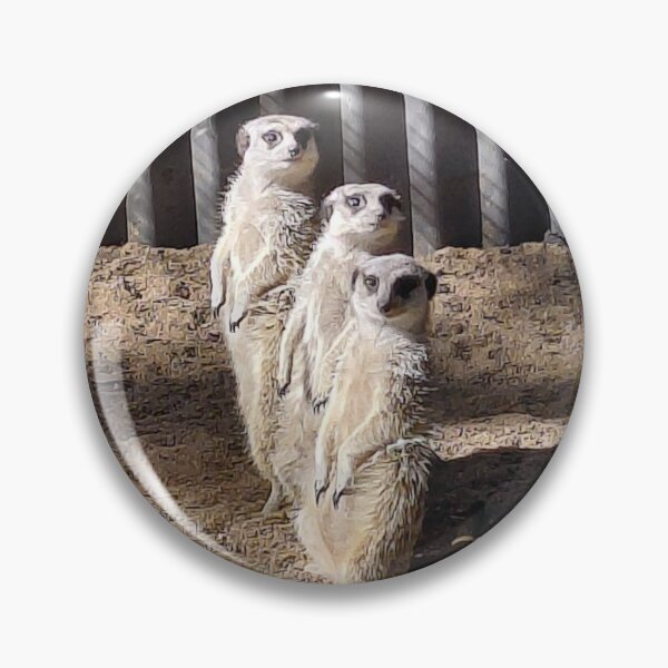 Item preview, Three meerkats standing and look out designed and sold by pbchan.