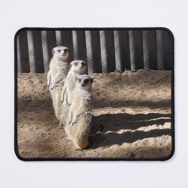 Item preview, Three meerkats standing and look out designed and sold by pbchan.