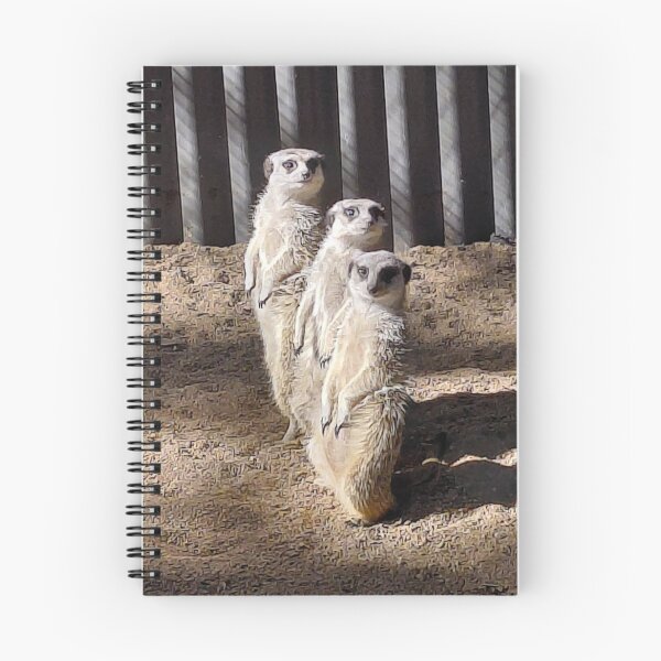 Item preview, Three meerkats standing and look out designed and sold by pbchan.