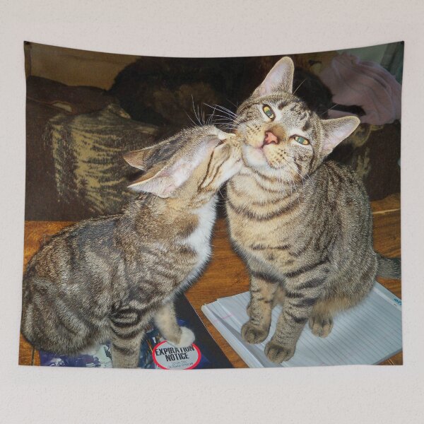 Item preview, Just A Kiss Cute Cat Smooch Adorable Kittens designed and sold by Blackfire's Witchy Wonders.