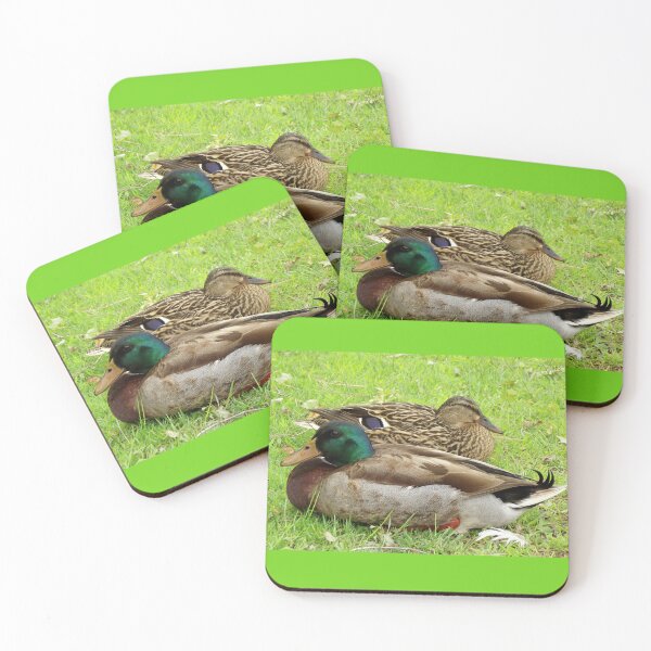 Item preview, Beautiful Pair of Resting Mallard Ducks designed and sold by Blackfire's Witchy Wonders.