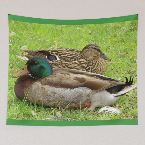 Item preview, Beautiful Pair of Resting Mallard Ducks designed and sold by Blackfire's Witchy Wonders.