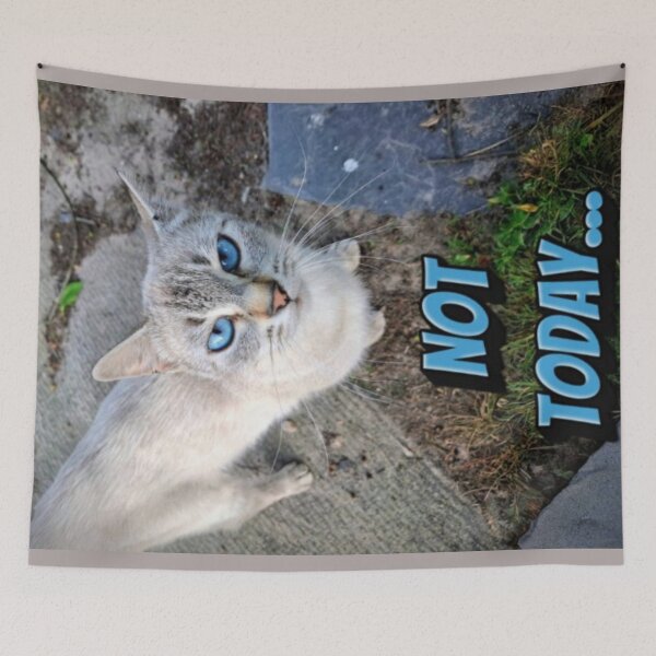 Item preview, Not Today Funny Cute Siamese Cat Meme designed and sold by Blackfire's Witchy Wonders.
