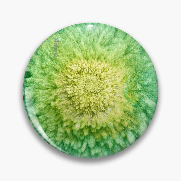 Item preview, AI Goluban Flower Chrysanthemum 20 Chlorophyll Green _ Edita Goluban _ Croatia _ 2026_06_25 designed and sold by Tomica Aco Goluban.