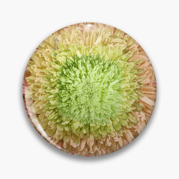 Item preview, AI Goluban Flower Chrysanthemum 15 Peach _ Edita Goluban _ Croatia _ 2026_06_25 designed and sold by Tomica Aco Goluban.
