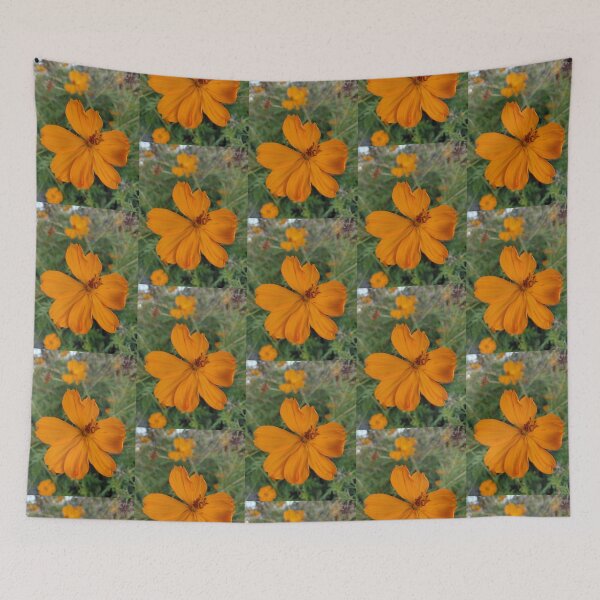 Item preview, Orange Cosmos Sulphureus Flower designed and sold by pbchan.