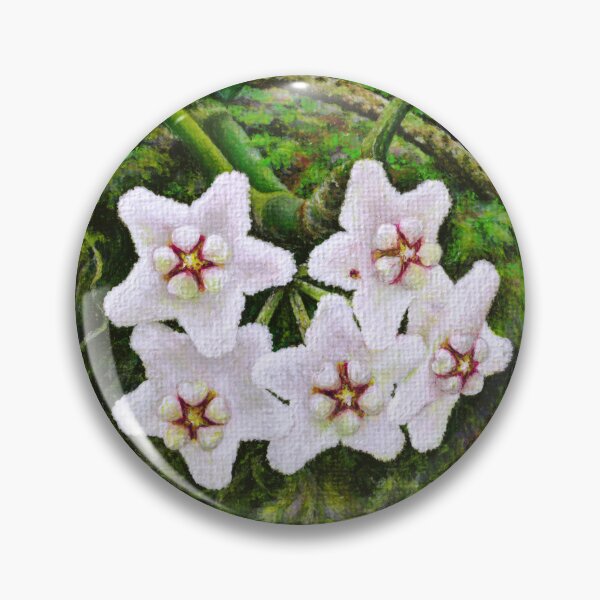 Item preview, White Hoya Botanical Flower Illustration designed and sold by Anna Ratkevich.