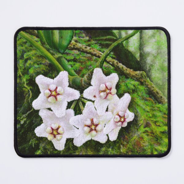 Item preview, White Hoya Botanical Flower Illustration designed and sold by Anna Ratkevich.
