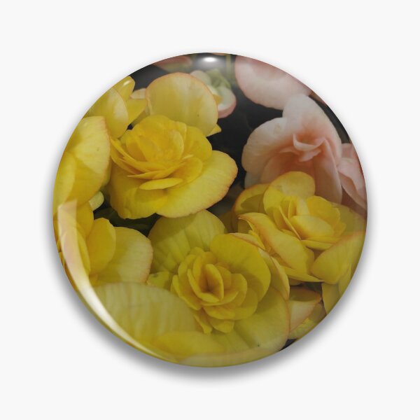 Item preview, Begonia Elatior/ Rieger Begonias designed and sold by pbchan.