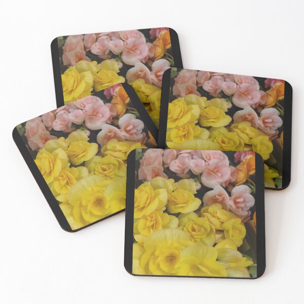 Item preview, Begonia Elatior/ Rieger Begonias designed and sold by pbchan.