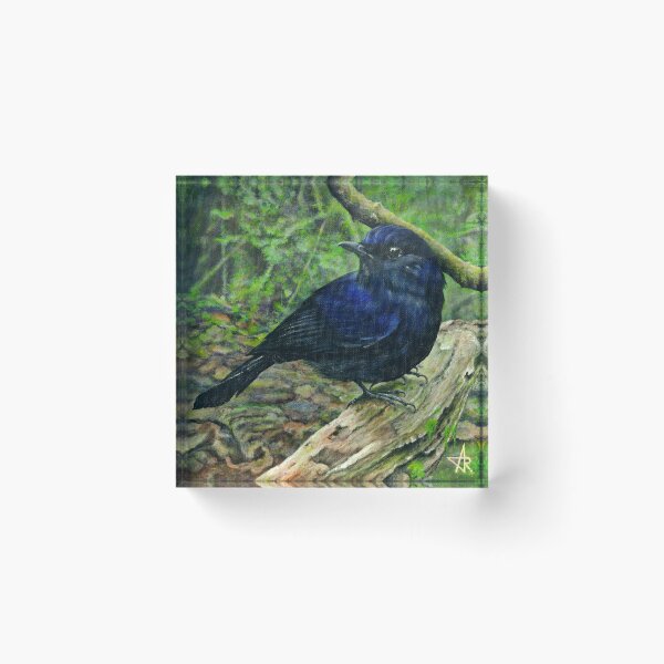 Item preview, White-tailed Robin Bird Illustration – Blue Forest Bird designed and sold by Anna Ratkevich.