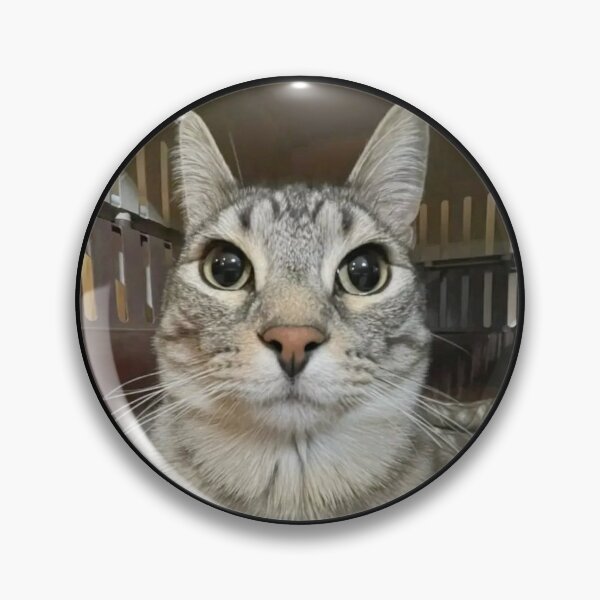 Item preview, Silly Staring Cat Meme designed and sold by Zyphero.