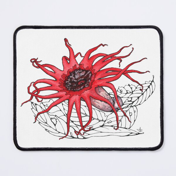 Item preview, Red Stinkhorn Mushroom Illustration designed and sold by Anna Ratkevich.