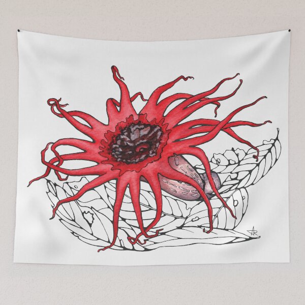 Item preview, Red Stinkhorn Mushroom Illustration designed and sold by Anna Ratkevich.