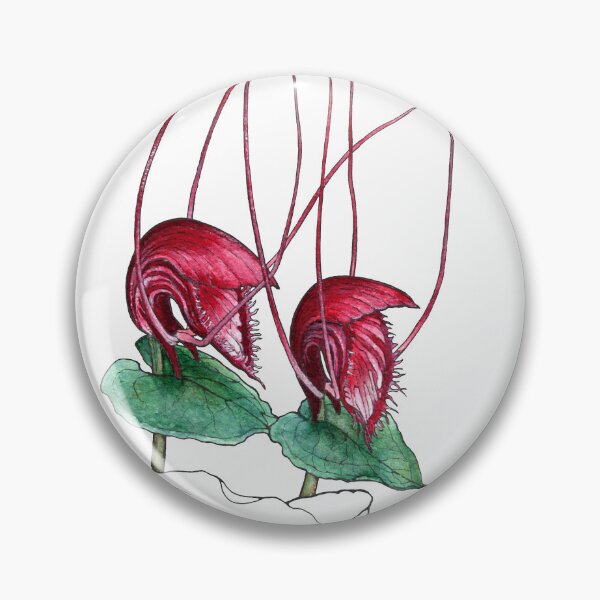 Item preview, Corybas Annamensis Orchid Illustration designed and sold by Anna Ratkevich.