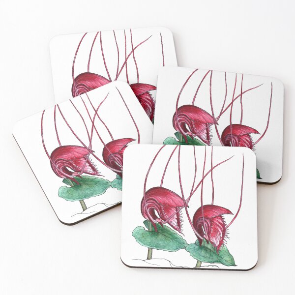 Item preview, Corybas Annamensis Orchid Illustration designed and sold by Anna Ratkevich.