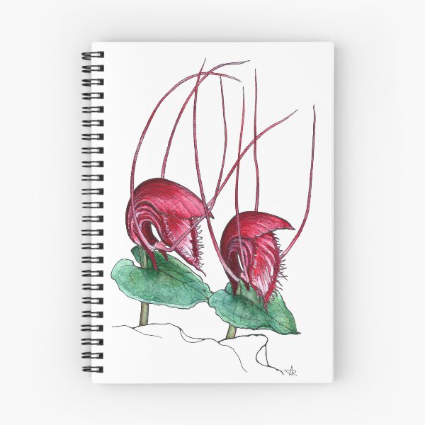 Item preview, Corybas Annamensis Orchid Illustration designed and sold by Anna Ratkevich.