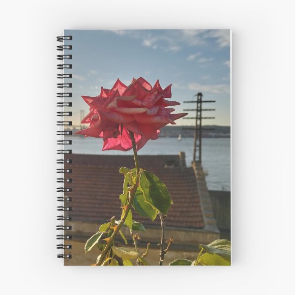 Item preview, Rosa vermelha designed and sold by ZeusGallery.