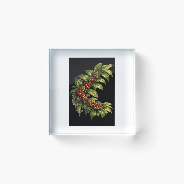 Item preview, Brazilian Coffee Branch designed and sold by JuanDiegoAyala.