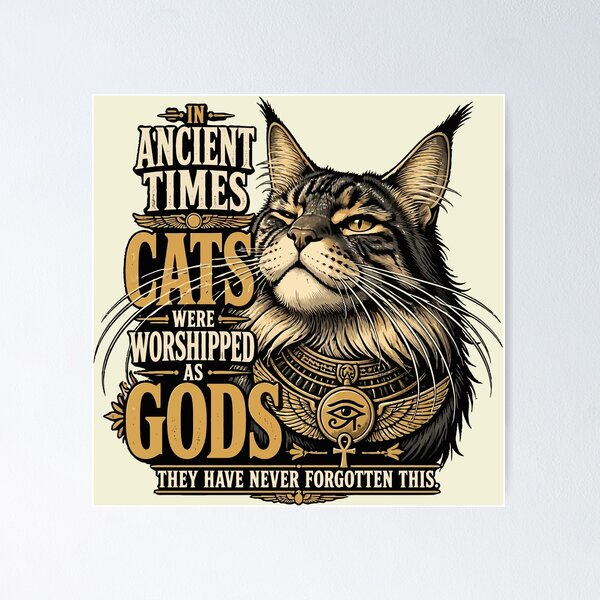 Item preview, Ancient Maine Cat Attitude designed and sold by taiche.