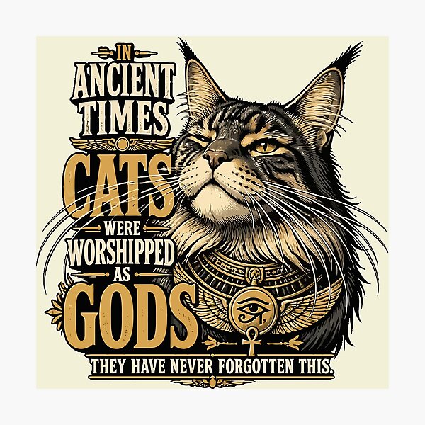 Item preview, Ancient Maine Cat Attitude designed and sold by taiche.