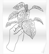 Holding Plant Cuttings Illustration Poster