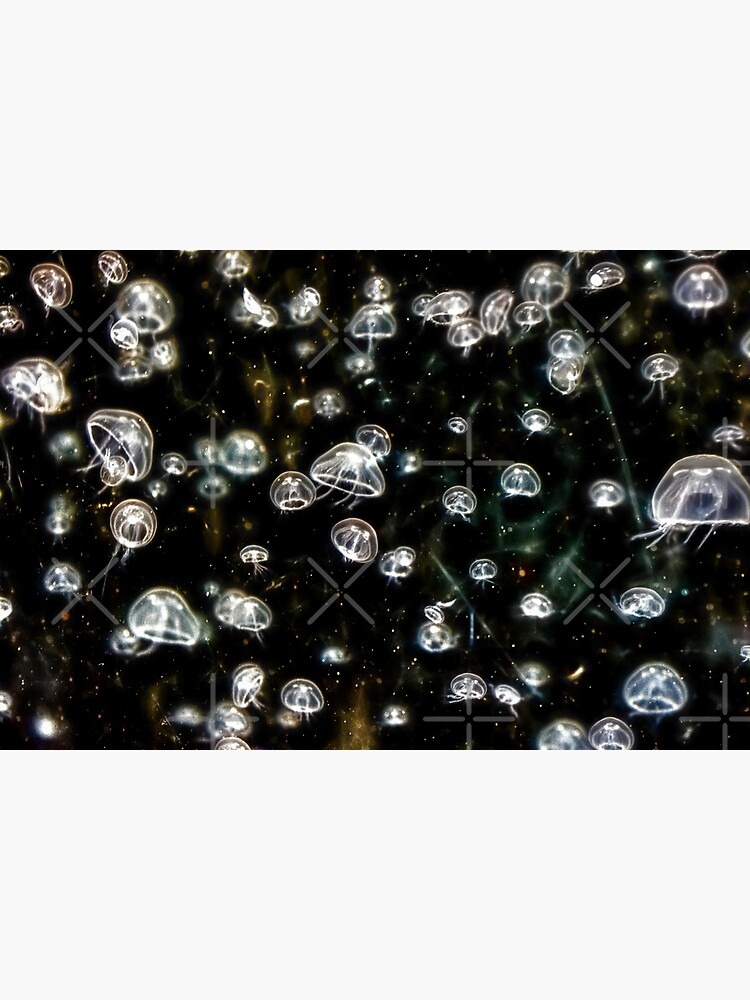 Lost in Space by RayW