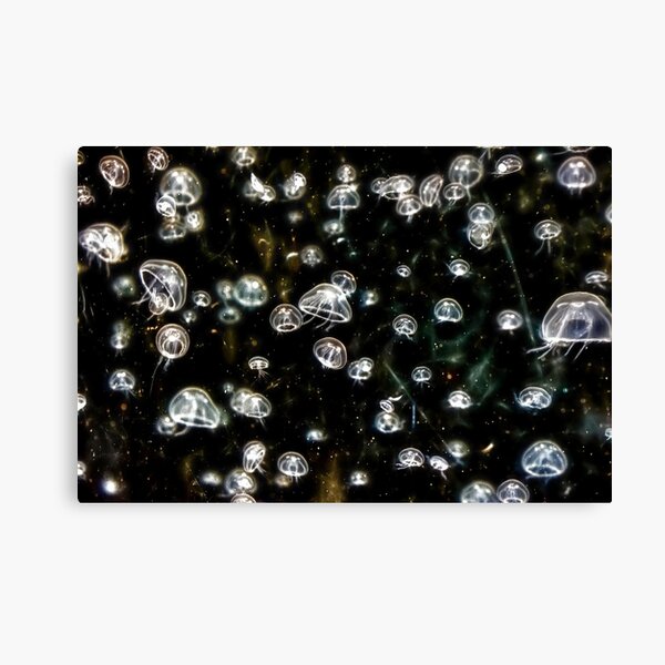 Lost in Space Canvas Print