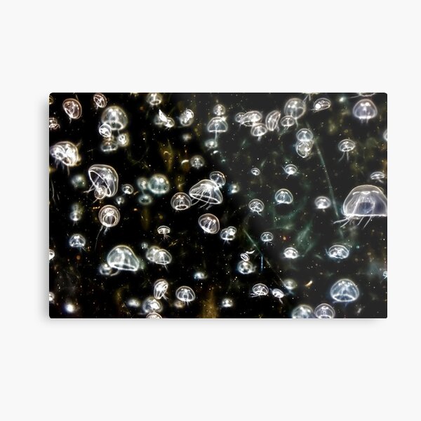 Lost in Space Metal Print