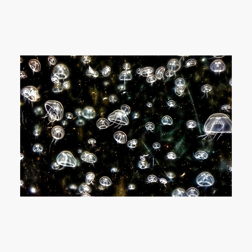 Lost in Space Photographic Print