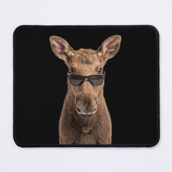 Item preview, Cute Baby Moose Wearing Sunglasses Funny designed and sold by RareLavender.