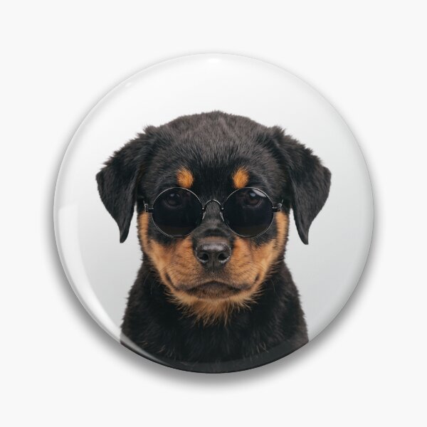 Item preview, Cute Baby Rottweiler dog Wearing Sunglasses Funny designed and sold by RareLavender.
